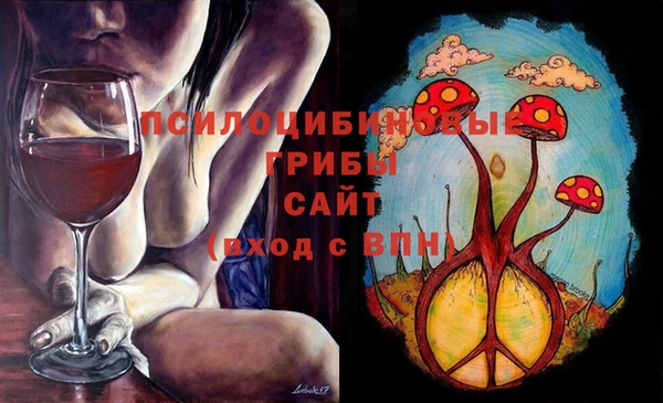 соль курить ск Арсеньев