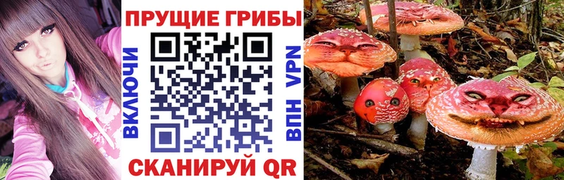 Галлюциногенные грибы мицелий  Осташков 